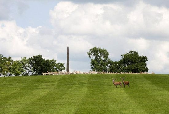 A Grade II listed obelisk dominates the deer park and was built to commemorate the coronation of King George II and Queen Caroline in 1727