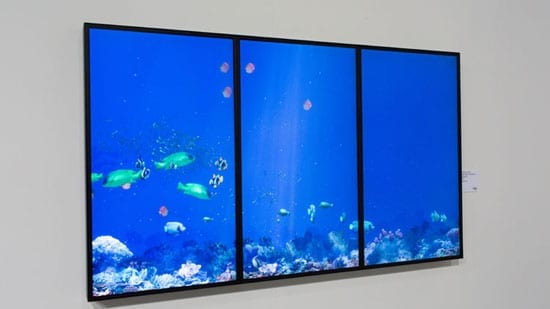 Dominic Harris Deep Blue Interactive Aquarium PRIVEEKOLLEKTIE