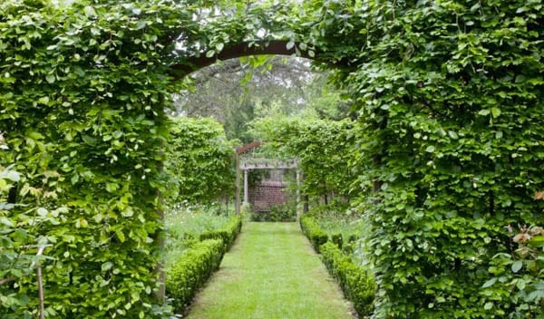 Taming the Dragon – The Pagoda House, 16 Staint James’ Lane, Winchester, S022 4NX – Savills – For sale – £4.5 million ($5.6 million, €5.2 million or درهم‎‎20.6 million)