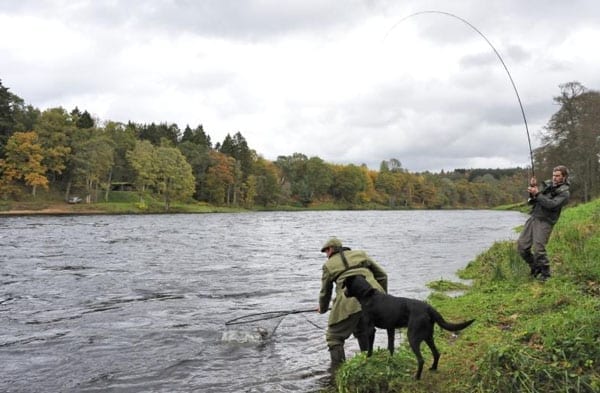 Gone fishing – The Taymount Fishings – £145,000 or £2,013 per year – Salmon and sea trout fishing for sale