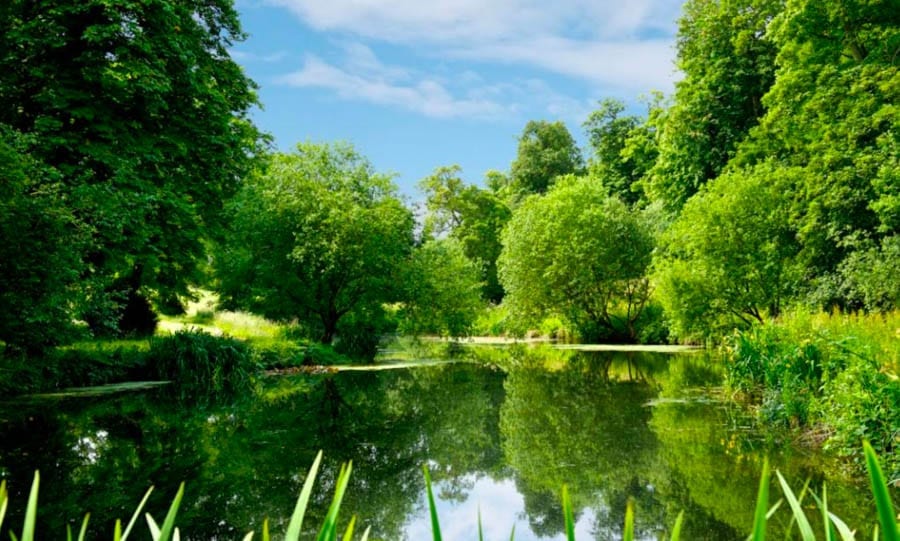 A Magnificent Manor – £8.5 million ($10.9 million, €10 million or درهم40.2 million) for Hinwick House, Podington, Wellingborough, Bedfordshire, NN29 7JE, United Kingdom through agents Savills – Grade I listed Queen Anne manor house in Bedfordshire for sale for a sum 41% lower than it was offered for in 2016.