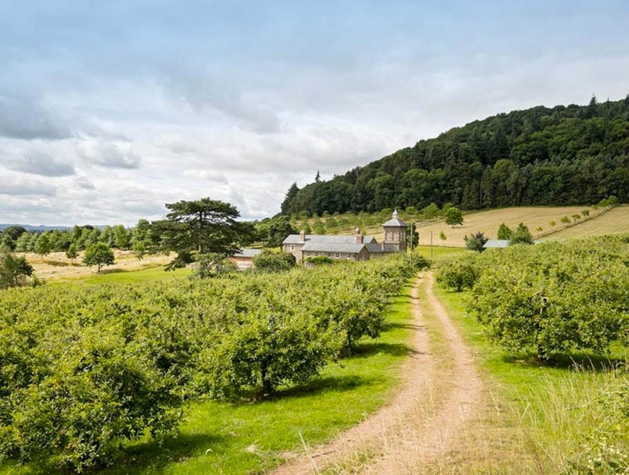 Finding Fruit – Hermitage Court, Canon Pyon, Herefordshire, HR4 8NN – Organic fruit farm for sale with Fisher German for £2.25 million ($2.88 million, €2.69 million or درهم10.58 million)