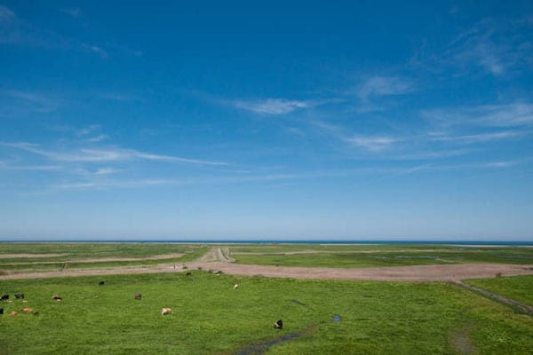 Marshlands enjoys open views across the saltmarshes of North Norfolk
