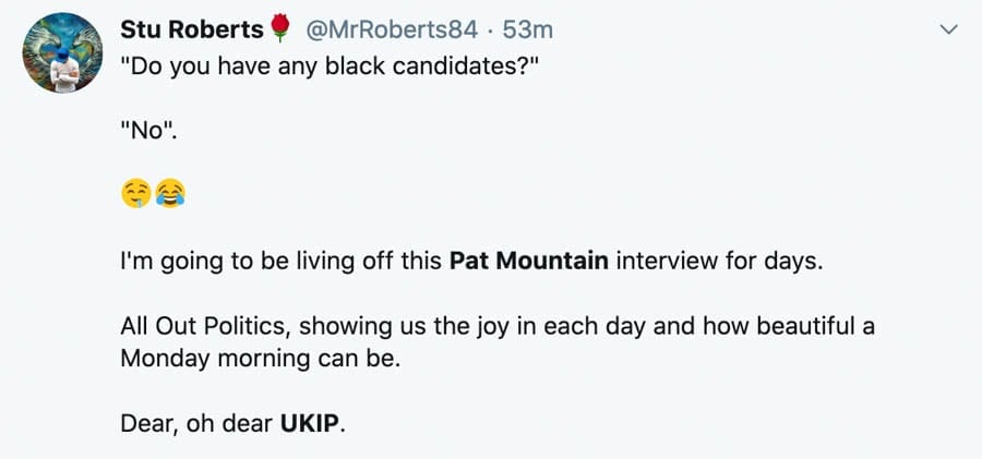 Pat Mountain (AKA ‘Pat The Prized Pillock’ and ‘Someone’s Nan’) – UKIP’s interim leader in December 2019, Pat Mountain is a Brighton based berk with no idea what a constituency is. She thinks Gerrard Batten “brave.”