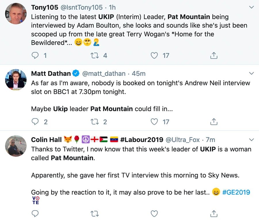 Pat Mountain (AKA ‘Pat The Prized Pillock’ and ‘Someone’s Nan’) – UKIP’s interim leader in December 2019, Pat Mountain is a Brighton based berk with no idea what a constituency is. She thinks Gerrard Batten “brave.”
