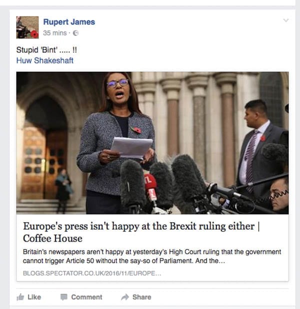 Rabid Rupert – Facebook troll Rupert James – Abuse of Gina Miller – Article 50 and Brexit