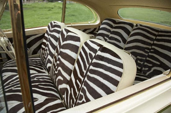The Zebra hide interior of the vehicle