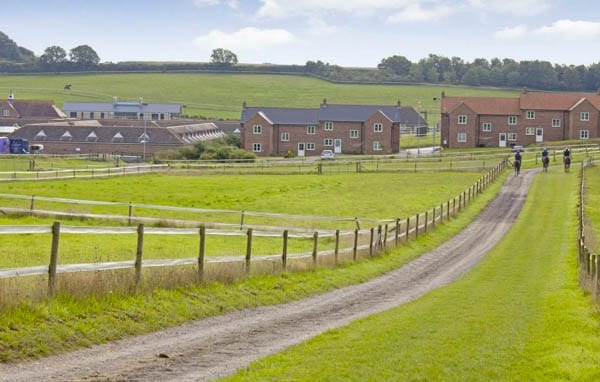 Racing on – Whitcombe Monymusk Racing Stables & Stud, Whitcombe, Dorchester, Dorset, DT2 8NY – Savills – For sale for £4.75 million – Liz Nelson MBE