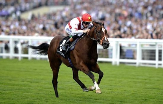 Toronado is the one to watch at Goodwood today