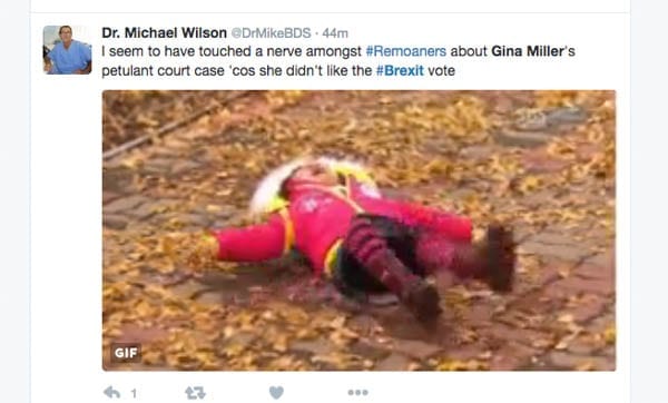 Trolling Brexit – Twitter users troll Gina Miller and her challenge to Article 50 at the High Court, Thursday 13th October 2016