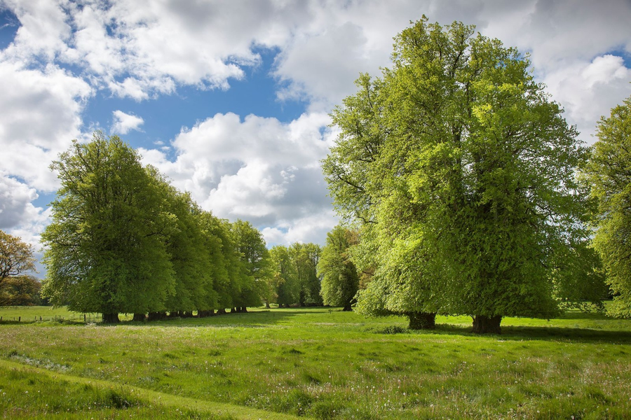 A Wyatt Wonder – £18 million for Sir David Davies’ The Abbey Leix Estate, Abbeyleix, County Laois, Ireland through Sotheby’s International Realty – “Hard head – healing hands” Welsh businessman looks to sell his £18 million Irish estate complete with a James Wyatt mansion and 1,120 acres; Sir David Davies became an Irish citizen after Brexit and has no time for Boris Johnson