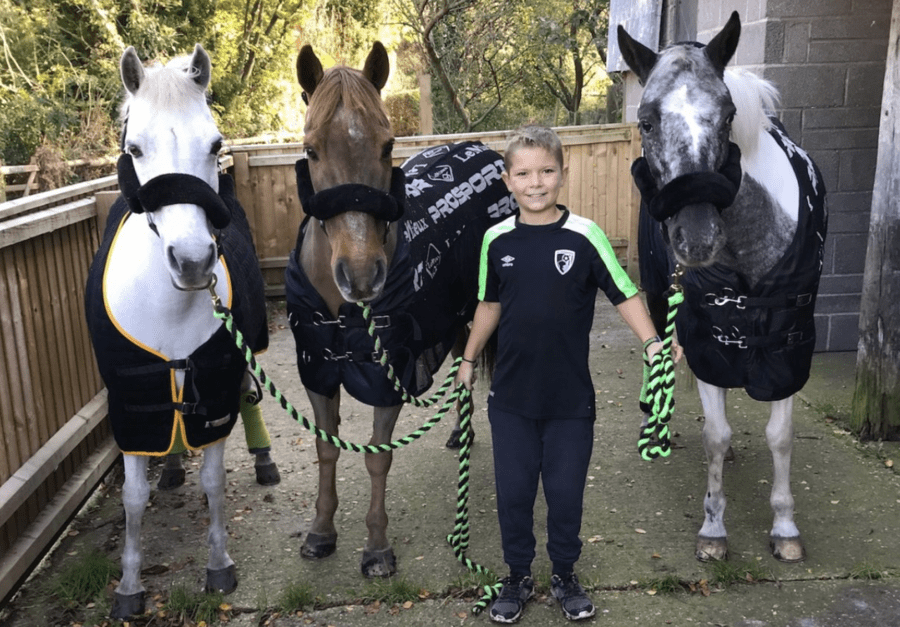 Alfie Diaper – Showjumper, show rider and “all-round horseman” – Aged just nine in 2019, “little star” Dorset born Alfie Diaper has had success at the Olympia Horse Show, the Liverpool International Horse Show.