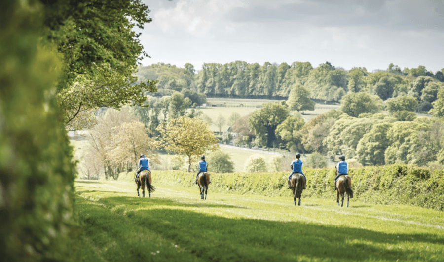 Fahad Takes Flight – £6 million for Sheikh Fahad’s Longholes stud – Blow to British racing as Sheikh Bin Fahad Abdullah Al Thani places his Longholes, Newmarket Road, Cheveley, Newmarket, Suffolk, CB8 9EJ, United Kindom up for sale to spend more time in California. The agent is George Windsor Clive of Windsor Clive.