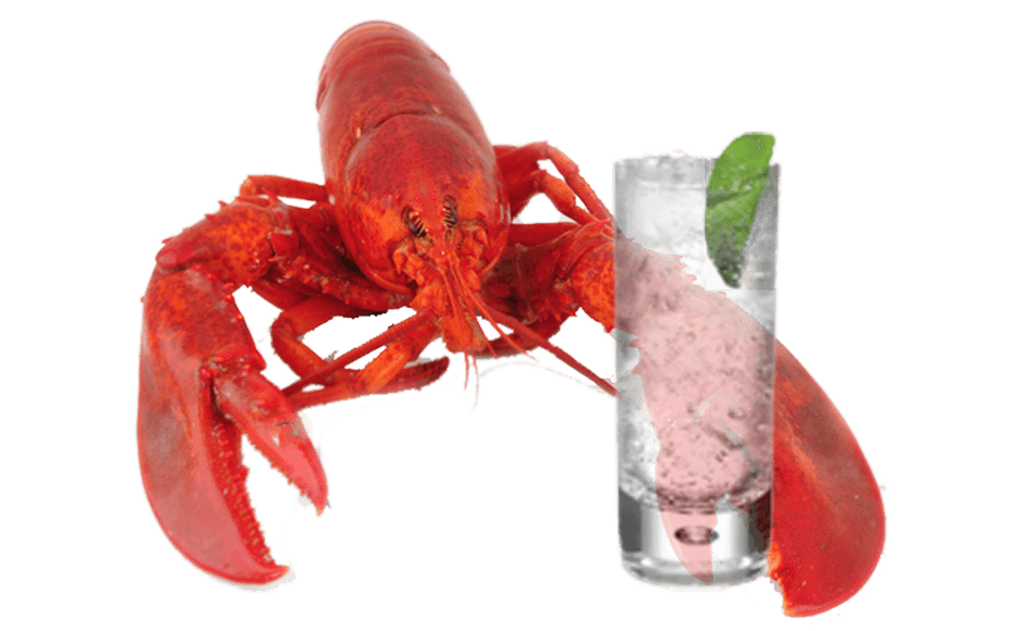 Gin and lobster – Lobstar – Hoxton – Brockmans – Beefeater – Bishop’s – No. 3 – Martin Miller’s Westbourne Strength – Gilpin’s Gin – Best gins – Worst gins