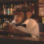 A-monkey-would-be-more-use-behind-a-bar-than-an-Odd-Barman-1