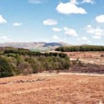 A-view-across-the-1528-acre-estate-1