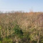 A-view-of-yet-more-pylons-1