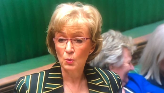 The Pizza Prat – Andrea Leadsom MP – Leader of the House Andrea ‘Loathsome’ Leadsom’s “pizza club” is indicative of how low the British political classes have stooped.