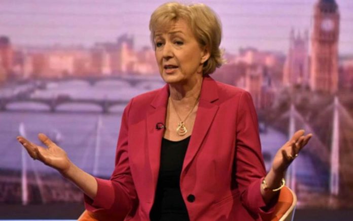 Andrea Leadsom Teaspoon