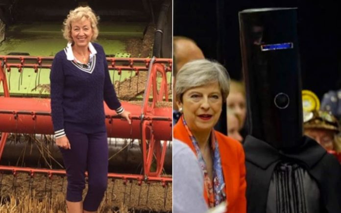 Bumbling Bucketheads – Theresa May appointments Andrea Leadsom – Theresa May’s decision to appoint CV faker Andrea Leadsom is indicative of where her bumbling bag of bilge government is headed.