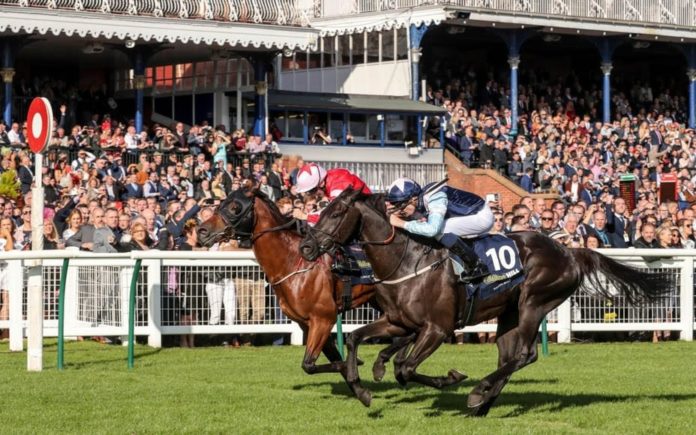Runners & Riders – Horse racing tips for Saturday 14th September 2019 – The Steeple Times’ horse racing tips with an analysis of the top tipsters and their selections for the Ayr Gold Cup Festival.