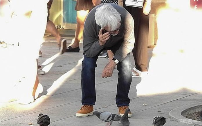 Pigeon Bernie – Bernie Ecclestone befriends a flight of pigeons in Dubrovnik, Croatia with Spice Girl Geri Halliwell – Bernie Ecclestone finally finds himself some ‘friends’; Prince Charles talks to plants, Bernie Ecclestone talks to pigeons.