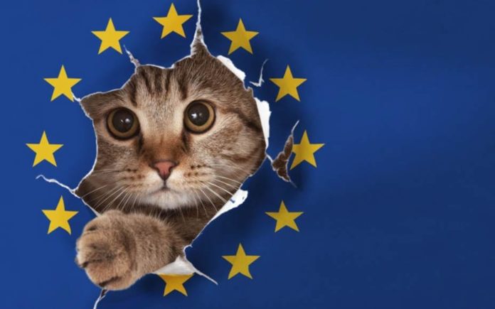 A Cat Called Brexit – France’s EU minister names her cat ‘Brexit’ – That France’s EU minister has amusingly named her cat ‘Brexit’ sums up what a joke this whole process has become.