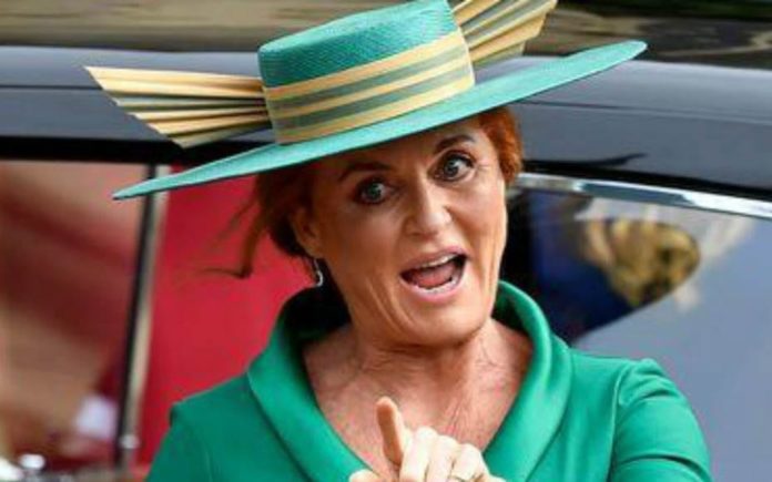 The Duchess of Dork – Duchess of York claims Epstein saga “nonsense” – That the Duchess of York claims the Jeffrey Epstein scandal to be “nonsense” sums up how much of an out of touch fruitcake she truly is.
