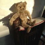 Edward-the-Steiff-bear-1