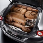 Ferrari-luggage