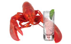 Gin and lobster – Lobstar – Hoxton – Brockmans – Beefeater – Bishop’s – No. 3 – Martin Miller’s Westbourne Strength – Gilpin’s Gin – Best gins – Worst gins
