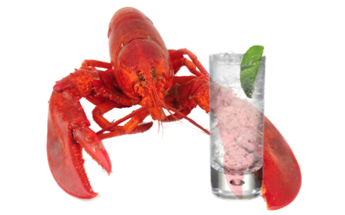 Gin and lobster – Lobstar – Hoxton – Brockmans – Beefeater – Bishop’s – No. 3 – Martin Miller’s Westbourne Strength – Gilpin’s Gin – Best gins – Worst gins