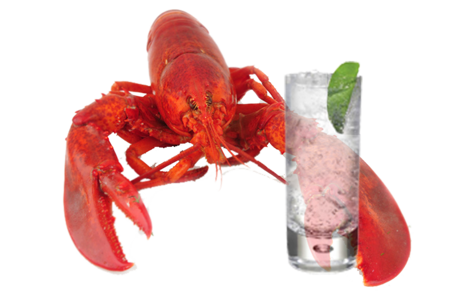 Gin and lobster – Lobstar – Hoxton – Brockmans – Beefeater – Bishop’s – No. 3 – Martin Miller’s Westbourne Strength – Gilpin’s Gin – Best gins – Worst gins