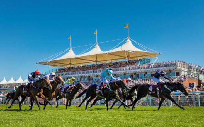 Runners & Riders – Thursday 1st August – The Steeple Times reintroduces its horse racing tips with an analysis of the top tipsters and their selections for Glorious Goodwood and Nottingham