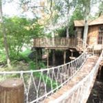 Jennifer-Irvine-treehouse-400