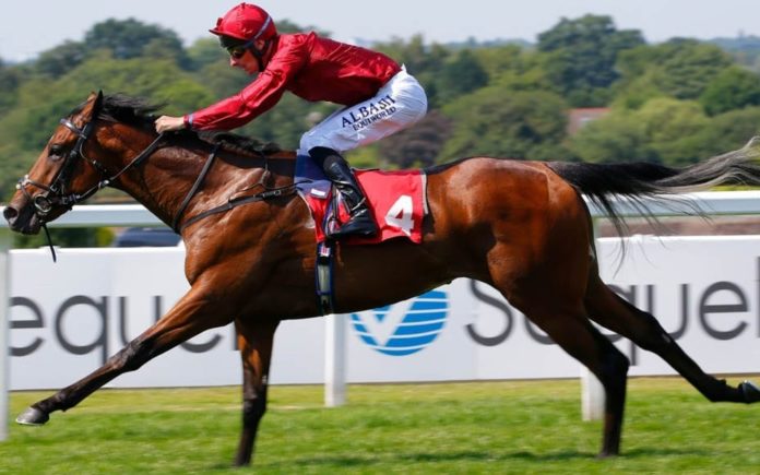 Runners & Riders – Horse racing tips for Wednesday 21st August – The Steeple Times’ horse racing tips with an analysis of the top tipsters and their selections for today’s racing at the Ebor Festival.