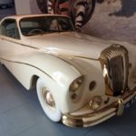 Lady-Dockers-1955-Golden-Zebra-Daimler-1