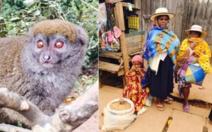 Madness in Madagascar – Visit this special country before it declines – Author and travel writer Sarah Tucker visits Madagascar and laments its future.