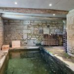 Not-many-homes-come-with-an-indoor-carp-pool-1
