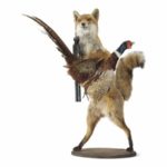 Pheasant-1