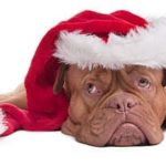 Post-Christmas-bues-have-set-in-for-many