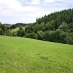 Remaining-land-500-1