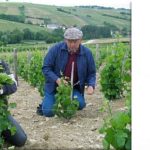 Sancerre