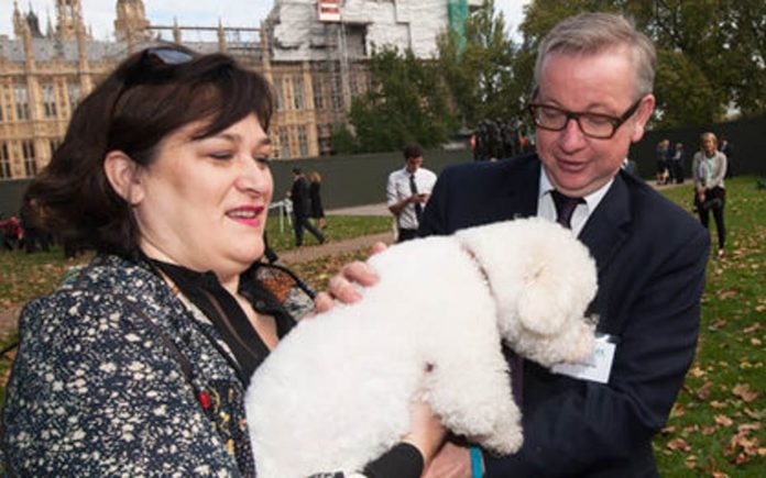 Wally of the Week – Sarah Vine – Backstabber Michael Gove’s wife’s attack on Gina Miller confirms her for what she truly is – Sarah Vine is nothing but an OKA loving wally