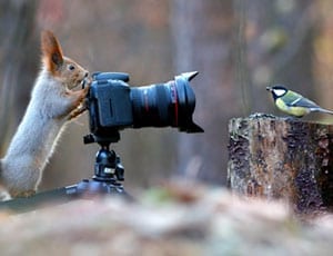 Picture of the Week: Snapped by a squirrel