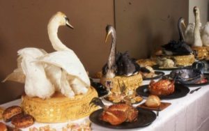 Overheard – 26th October