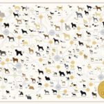 The-Diagram-of-Dogs