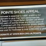 The-Royal-Opera-House-is-appealing-for-donations-towards-the-costs-of-pointe-shoes-despite-paying-its-CEO-over-700000-per-year-1