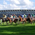 The-Tout-anticipates-a-great-week-at-Royal-Ascot-1