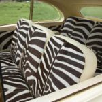 The-Zebra-hide-interior-of-the-vehicle-1